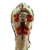 பரமசிவன் கோயில்கள்